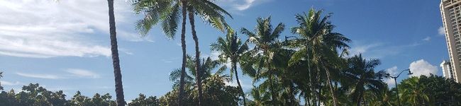 machacoooo's header image