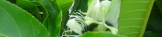A&G's header image