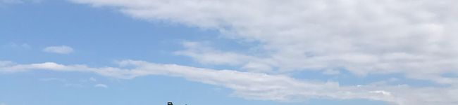 ホワイトちゃんママ's header image