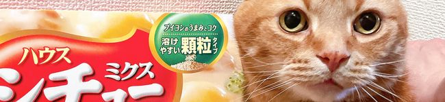 ✯猫と熟女✯'s header image