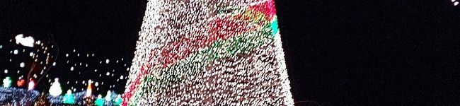 ☆chiitora☆'s header image