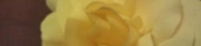 まゆらなはんぎょ's header image