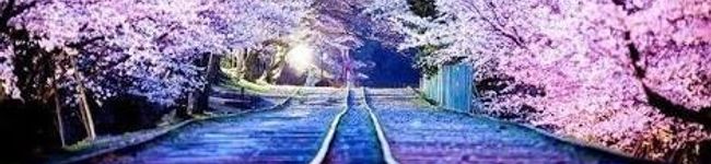 ねこかみ's header image