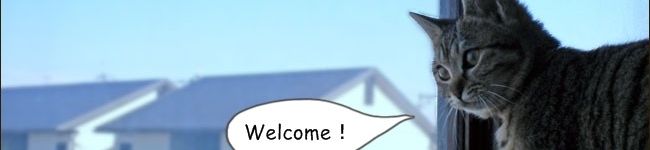 オレンジデイ's header image