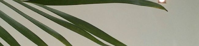 べいびぃCake's header image