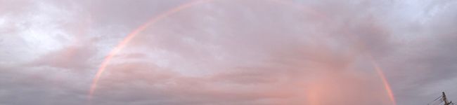 よしのクック's header image
