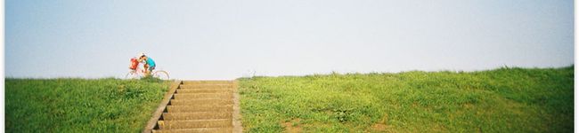 しまこと母さん's header image