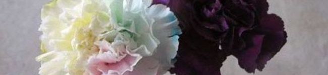 りゅんりゅん0629's header image