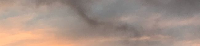 竹輪柱's header image