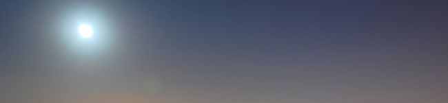 こゆき猫's header image