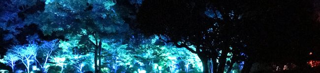 眛ーまいー's header image