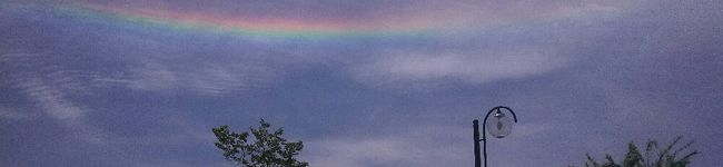 ネムサマ's header image