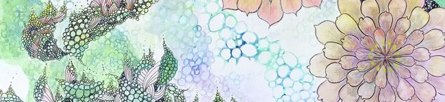 クックスズリン☆'s header image