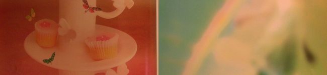trueclean's header image