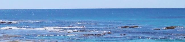 Alco_m's header image