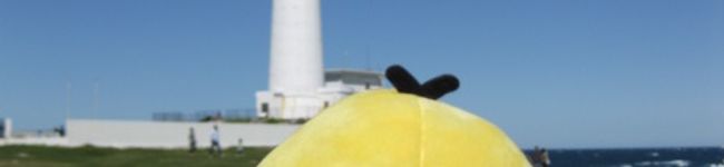 ちゅんこっこ's header image