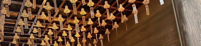 のびゴン's header image