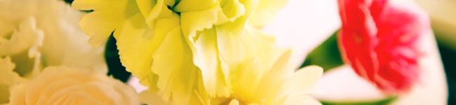 Ｒａｉｎｙ's header image