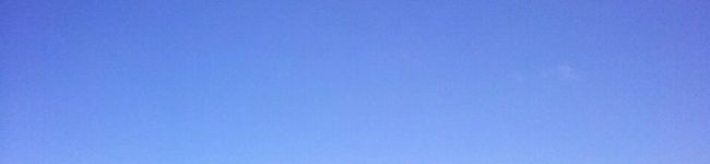 モカ彦's header image