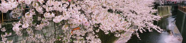 ☆豆の助☆'s header image