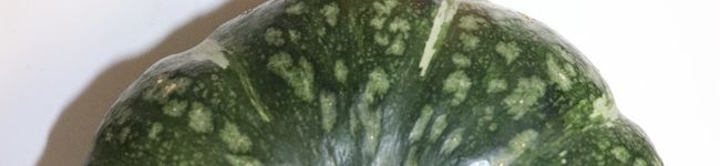 kaimoncook's header image