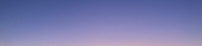 amecocco's header image