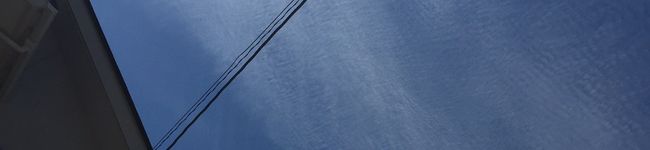 モモたろー君's header image