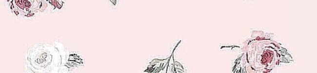 ・♡rinapis♡'s header image