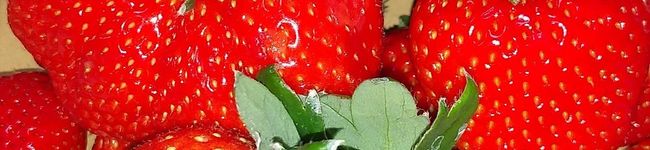 カフェモカ☕'s header image
