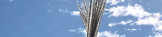 ブルーとローズ's header image