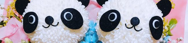 ★KOTE☆'s header image