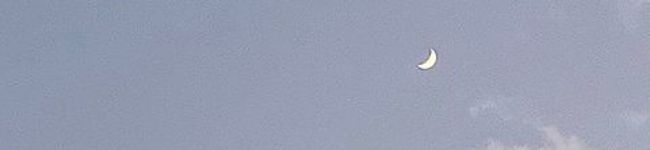 〜わたあめ〜's header image