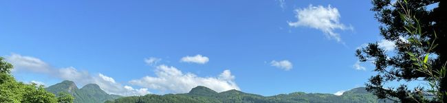 コリコリ食感's header image