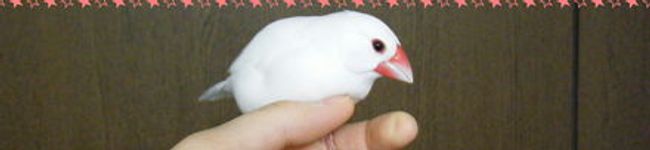 Ri Sa's header image