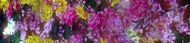 FUCCO16's header image
