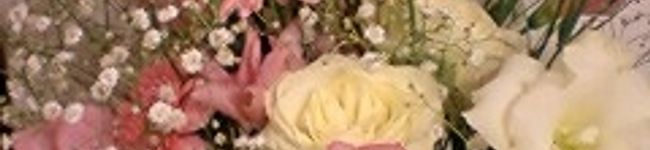 alan3082's header image