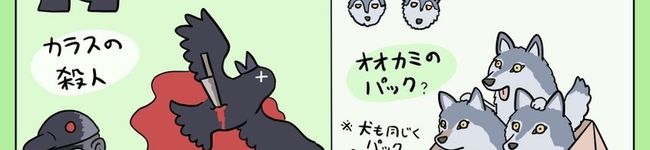 ＊たんたん＊'s header image