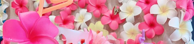 ayuri0218's header image