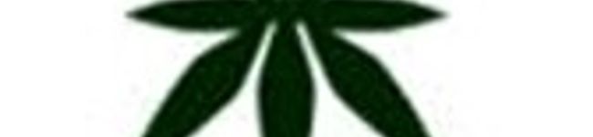 dice_imp's header image