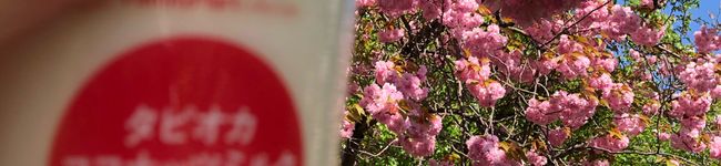 ねずみー's header image