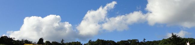 mikiot's header image