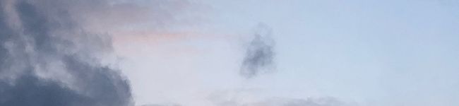 黒い兎の兎碧's header image