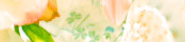 とちかめ's header image