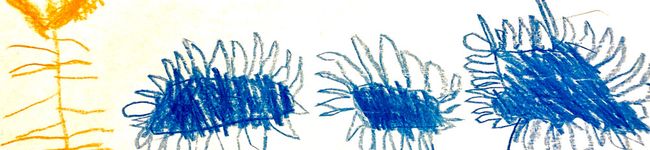 ♢♢kmse♢♢'s header image