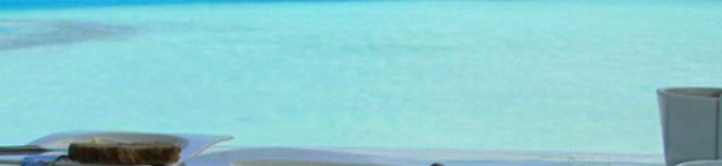 タマっぴ's header image