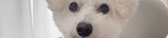 まりん0707's header image