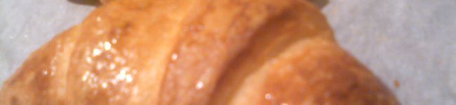bird59's header image