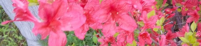 白井綾's header image