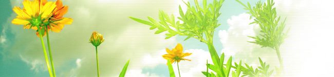 はなっぺ。's header image