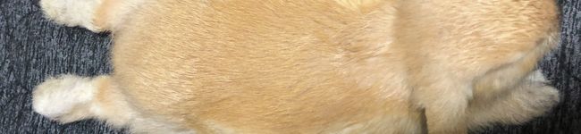 nana‪‪☆'s header image